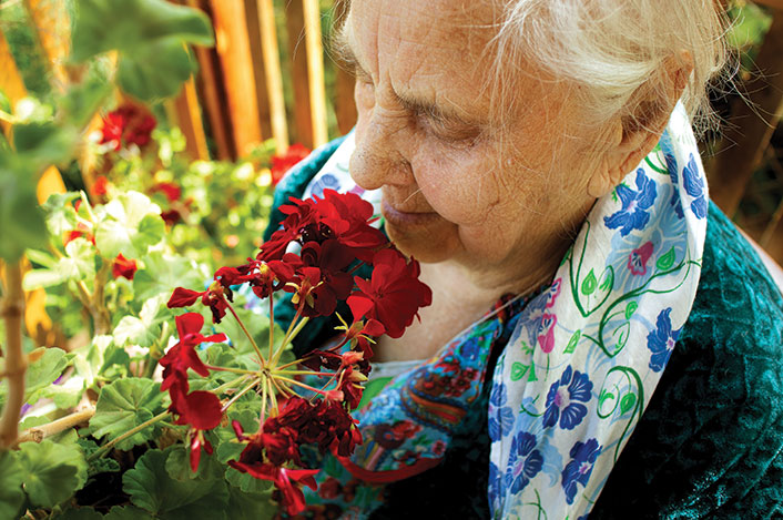 A woman sniffing her flowers. Links to Gifts by Estate Note